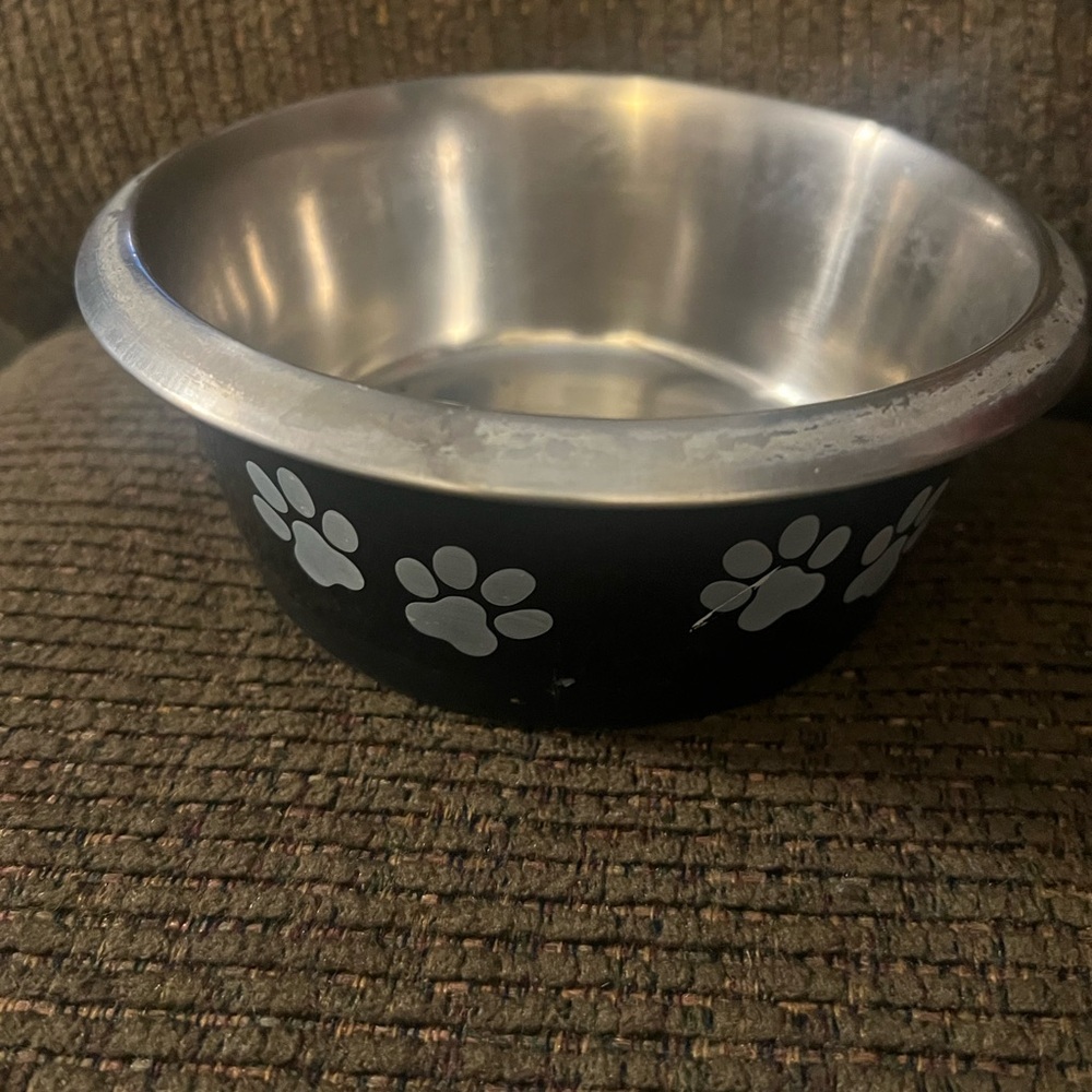 Stainless Steel Pet Bowl with Paw Prints